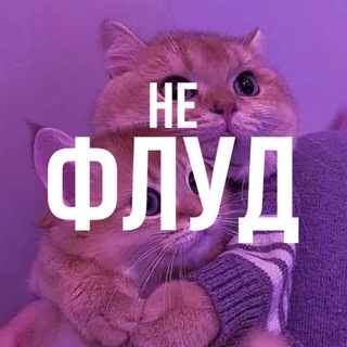 Логотип @no_news_flood - не флуд🐾