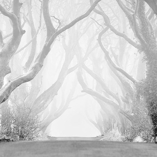 Логотип @no_panic_broadcast - No panic broadcast