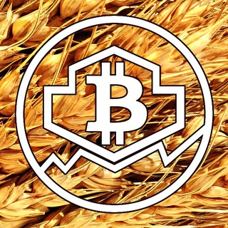Логотип @noahcryptoark_seed - КОВЧЕГ "Зёрна"
