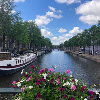 Логотип @noblelivingknowledge - Noble Living