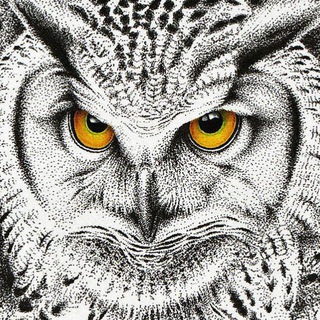 Логотип @nochnayaptica - Очевидные истины