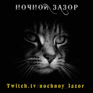 Логотип @nochnoy_3azor - 🦉Ночной зАзор👀Маф-Комментаторская