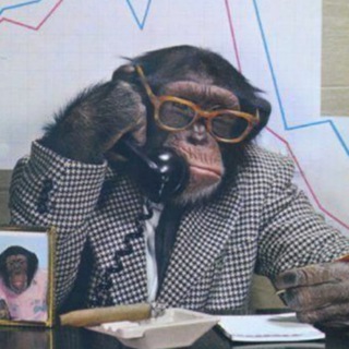 Логотип @nodaywithoutjokes - Ни дня без прикола