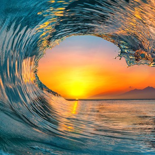 Логотип @nodgu - Nodgu