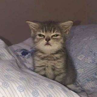 Логотип @nogaibaevxxx - Ruslanovwvx