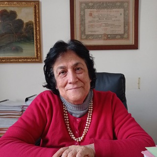 Логотип @noinonmolleremomai - Il nostro programma: NOI NON MOLLEREMO MAI