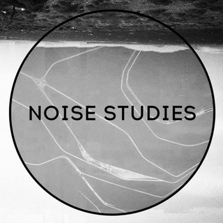 Логотип @noisestudies - НИИ Шума