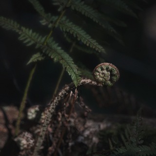 Логотип @nomadesdom - Nomades Dom