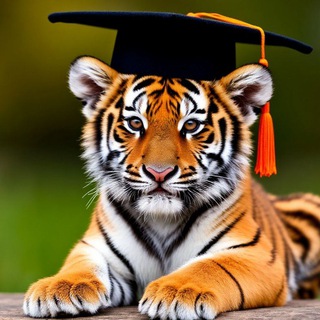 Логотип @nomer14 - МБОУ "СОШ №14 пос. Подъяпольское"