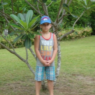 Логотип @nometax - мудрость акулёнка