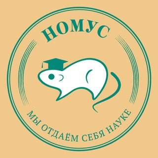 Логотип @nomus_volggmu - НОМУС ВолгГМУ 🐁