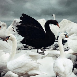 Логотип @nonblockchain - Неблокчейн