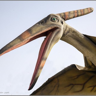 Логотип @nonovosty - Новости Глючинска |Апофеоз абсурда