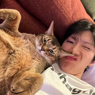 Логотип @noonachips - чогиё нуны