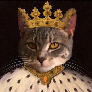 Логотип @nopunchmemes - The King of Memes