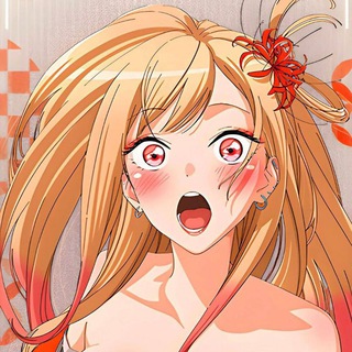 Логотип @noracmt - NoRa