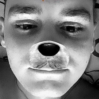 Логотип @noralysy4ki - ЛИСЬЯ НОРА 🦊