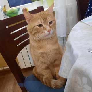 Логотип @nordlrs_chat - Пристанище Лукаса(