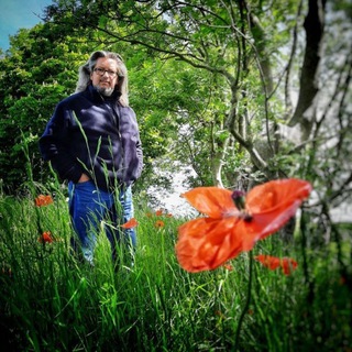 Логотип @nordseeheiler - ⚜ NordseeHeiler ⚜ - das Original -