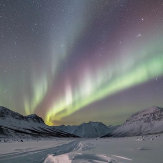 Логотип @nordvoice - Голос Севера🧭