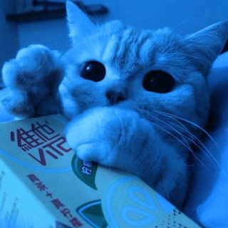 Логотип @nork4ch - NORK4CH