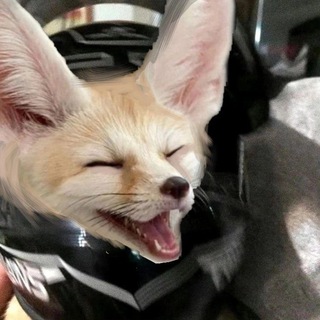 Логотип @norka_suny - Norka Siny