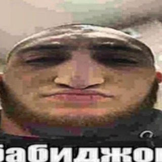 Логотип @norkaotziv - Отзывы Mod by Norka