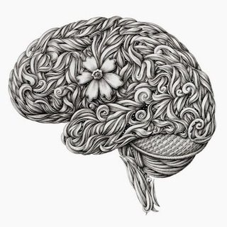 Логотип @norm_pat_anatomy - Анатомия и топография