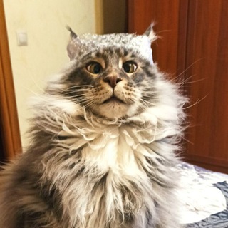 Логотип @normal_geo - Адекватный географ