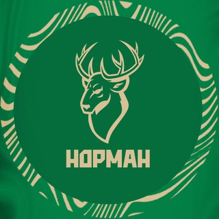 Логотип @normanfutsal - «Торпедо-2» Нижегородская область