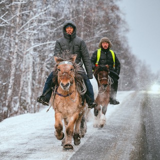 Логотип @northern_nomadsykt - Northern nomads 🏇🏇Всадники Севера
