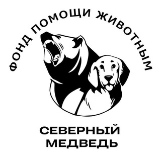 Логотип @northernbearspb - Северный Медведь