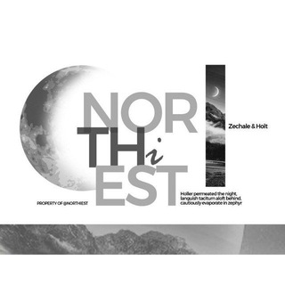 Логотип @northlest - CLOSEDOWN.