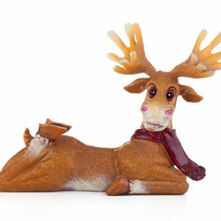 Логотип @northmMurman - Полярный взгляд