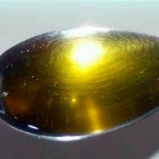 Логотип @northvol - Вологодское маслице