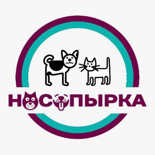 Логотип @nosopirkazoo - Ветеринарная консультация| НОСОПЫРКА