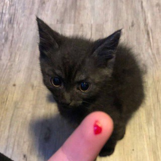 Логотип @not_hehehehehehe - ужасные и депрессивные мемы на каждый грёбаный день