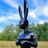Логотип @not_just_hares - 🐇 not just rabbits/кролики и не только🐰