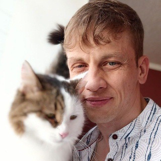 Логотип @not_psy_yet - У котов нет тупиков