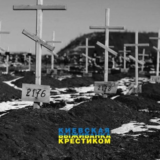 Логотип @not_survivor_ua - Выживанка