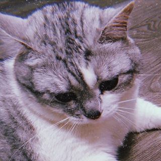 Логотип @notbarsik - Бумер (снова жирный)