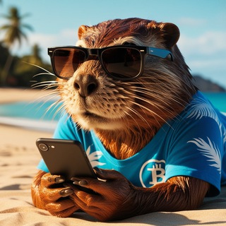 Логотип @notbeaver - Crypto Bober