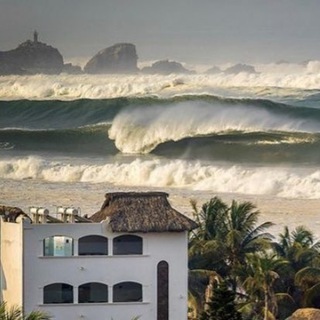 Логотип @notedelcinema - notedelcinema