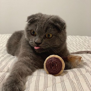 Логотип @notfunnymems - Несмешные мемы