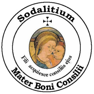 Логотип @notiziesodalitium - Sodalitium.it