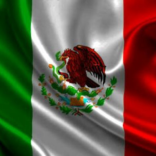 Логотип @notmex - MÉXICO NOTICIAS