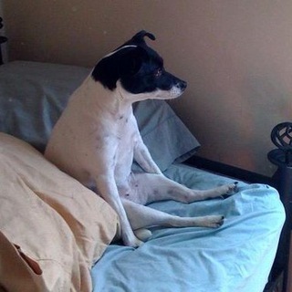 Логотип @notsoanxious - когда это закончится