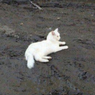 Логотип @notuniqum - Мысли