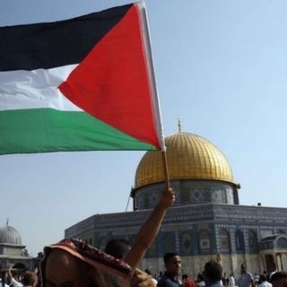 Логотип @nouvellesdepalestine - Palestine - Gaza - Nouvelles de Palestine أخبار فلسطين بالفرنسية و بلغات أخرى