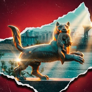 Логотип @nov_irk - Новости сейчас | IrkutskMedia